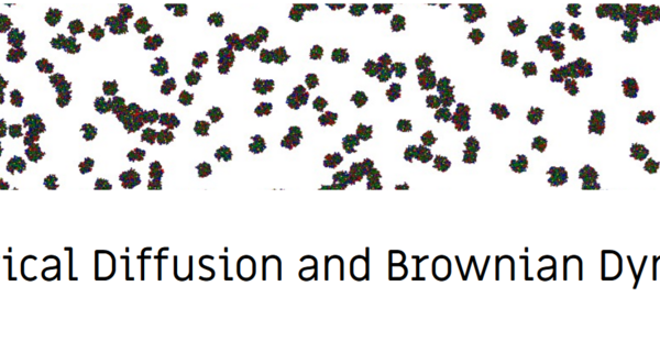 Sixth Biological Diffusion and Brownian Dynamics Brainstorm