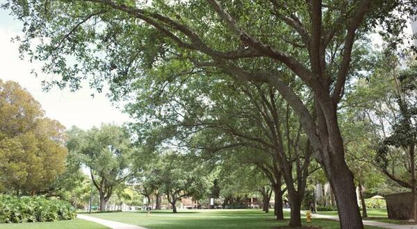 College setting stock photo